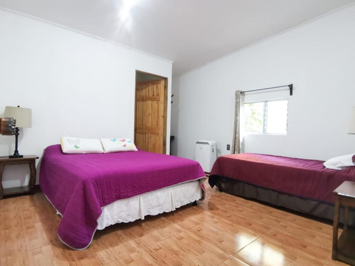 Отель Casita Happy Feet And Tours Corcovado Драке Экстерьер фото